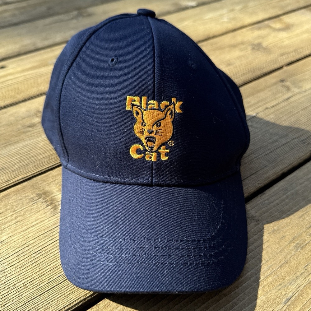 Black Cat Fireworks Snapback Hat Blue Embroidered Adjustable Cap
